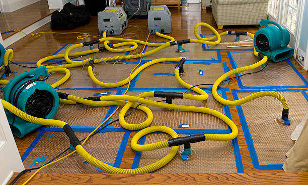 Professional Water Extraction technician working in Fairview Heights, IL